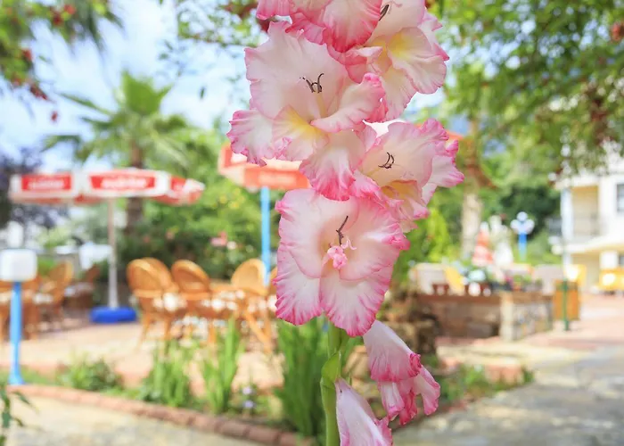 Aparthotel Milkyway & Oludeniz