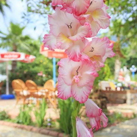 Apartmanhotel Milkyway & Oludeniz