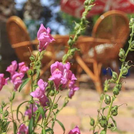 Aparthotel Milkyway &